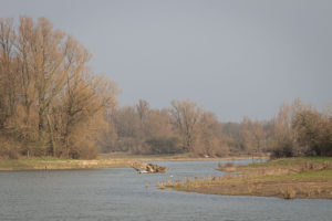 Afferdense en Deestse Waarden