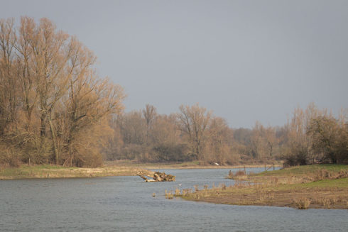 In De Afferdense En Deestse Waarden