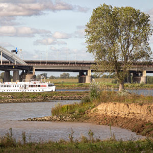 Reigerstad1