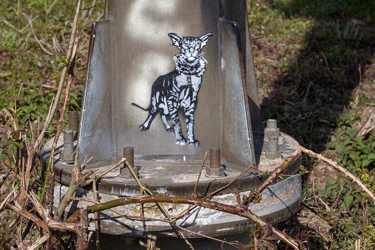 Kattenkunst