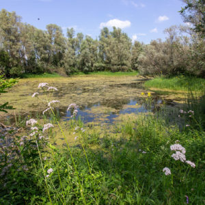 De Oude Kleiputten