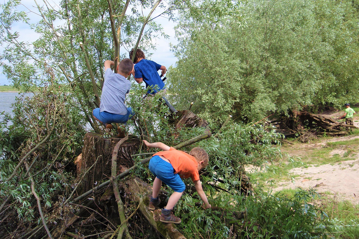 Takkenweek Aan Het Waalstrand