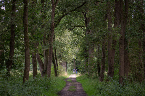 Op Zoek Naar De Zilveren Maan In Natuurgebied De Bruuk