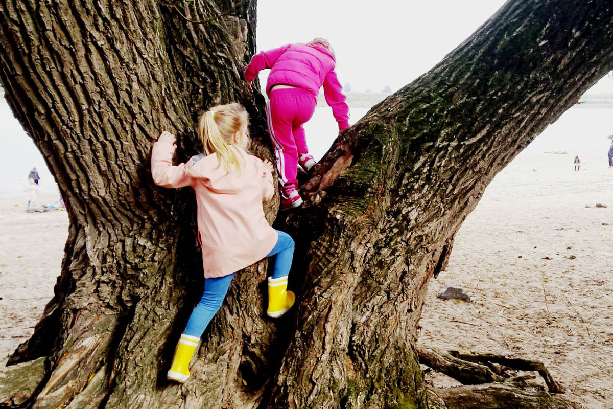Ontdekkingstocht Voor Kinderen Van Bronnenbos Naar Ooijpolder