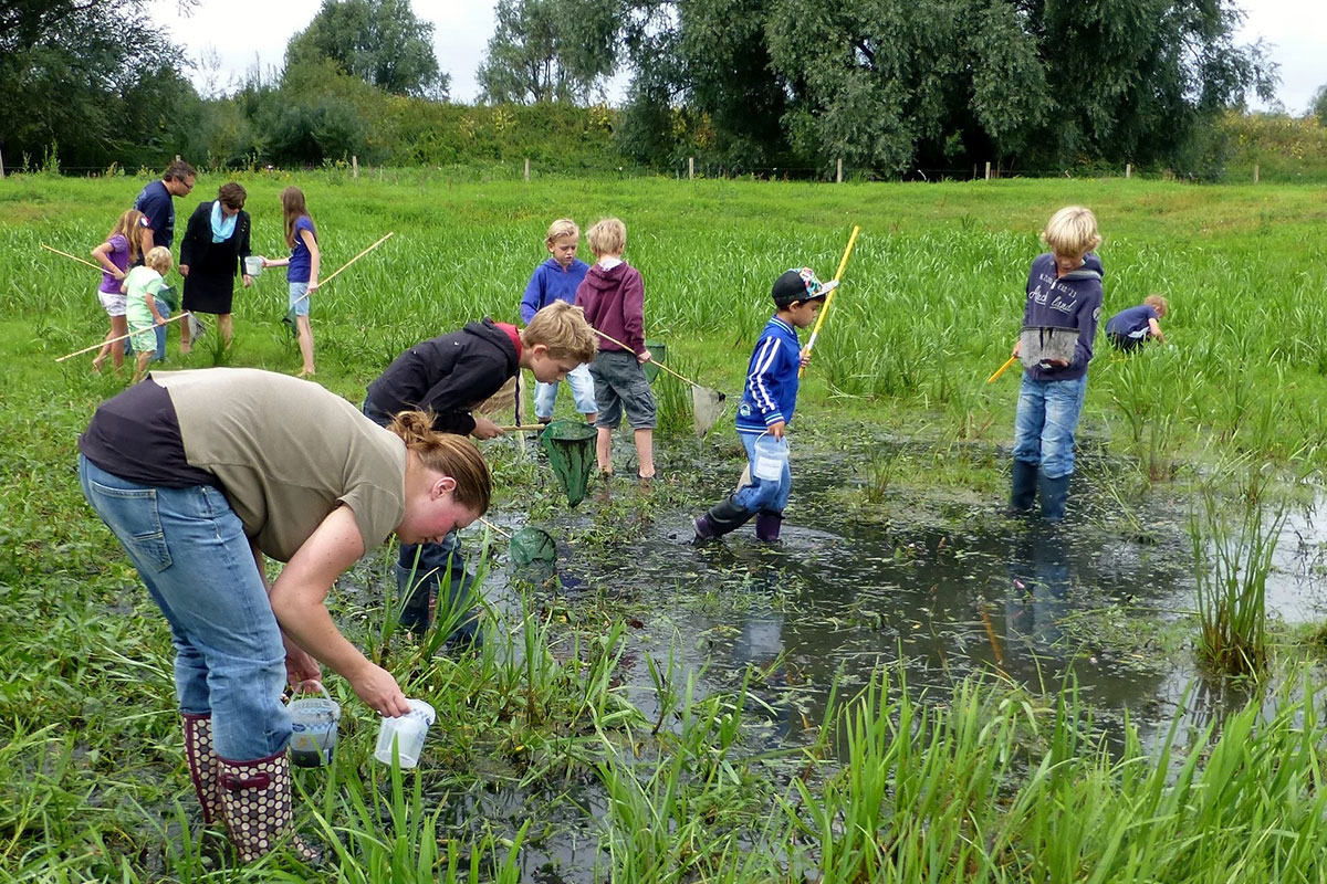 Bioblitz: Waterbeestjes Vangen In Heuvepark Beuningen
