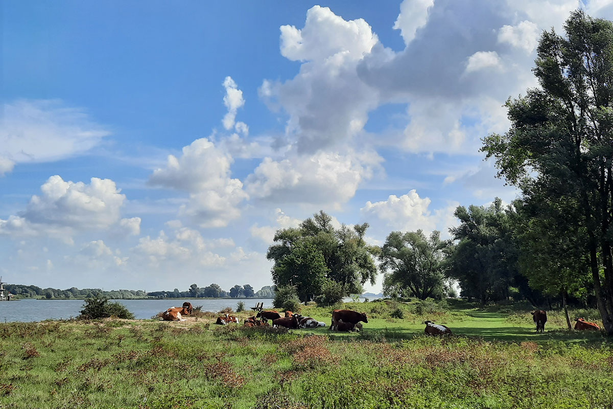 Herfst Wandelmeditatie Groesplaat