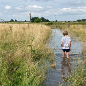 Hoogwater1
