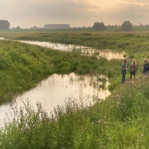 Kleine Willemswaard