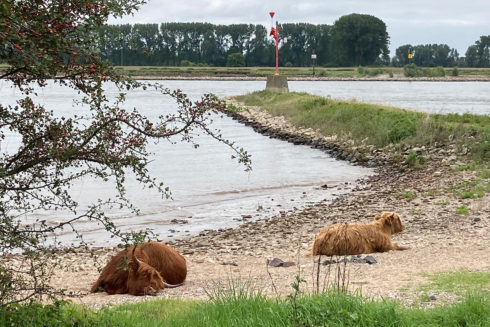 Waal Activiteiten In Tiel Oost Tijdens Monumentendag