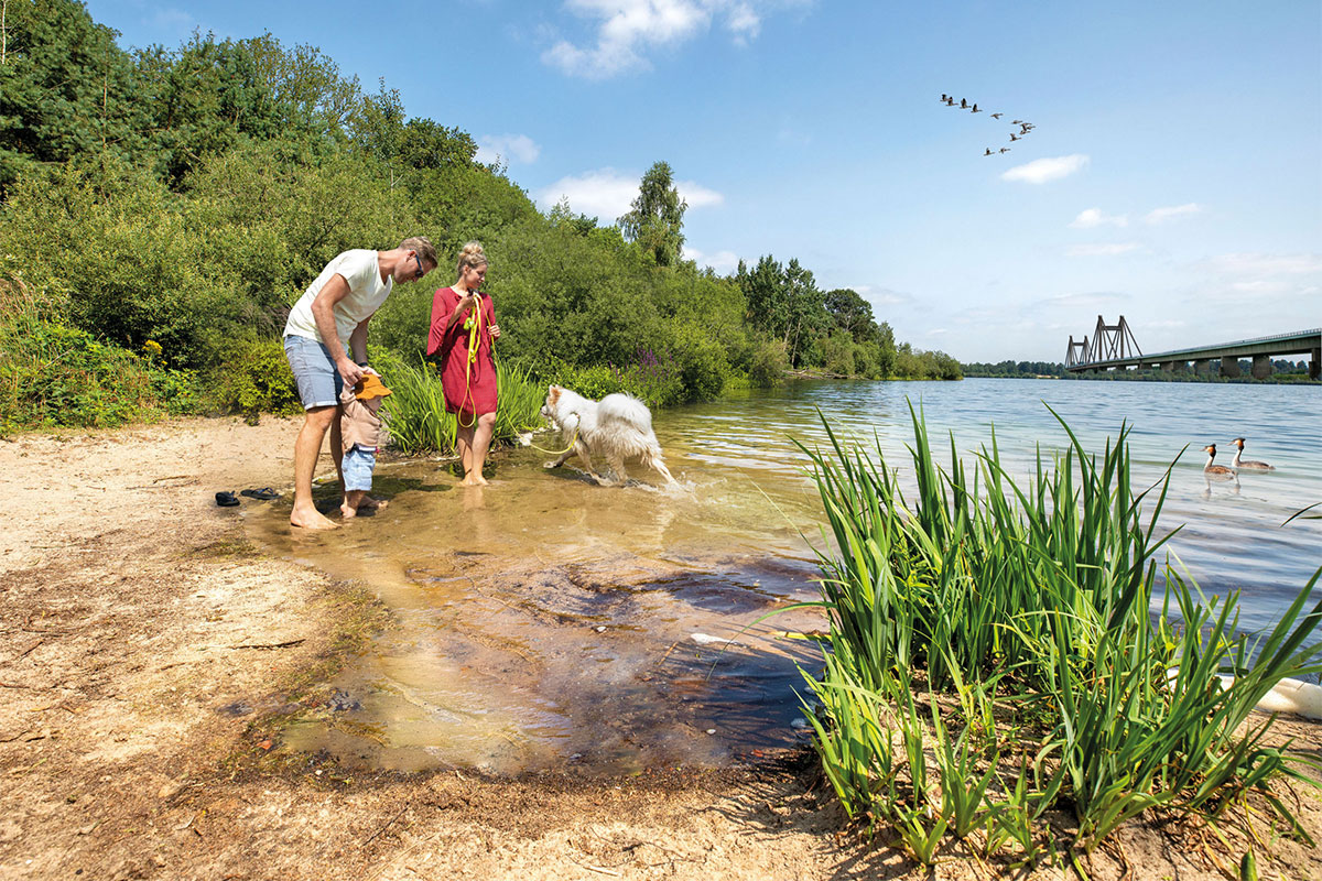 Open Dag Herinrichting Willemspolder Fase 1