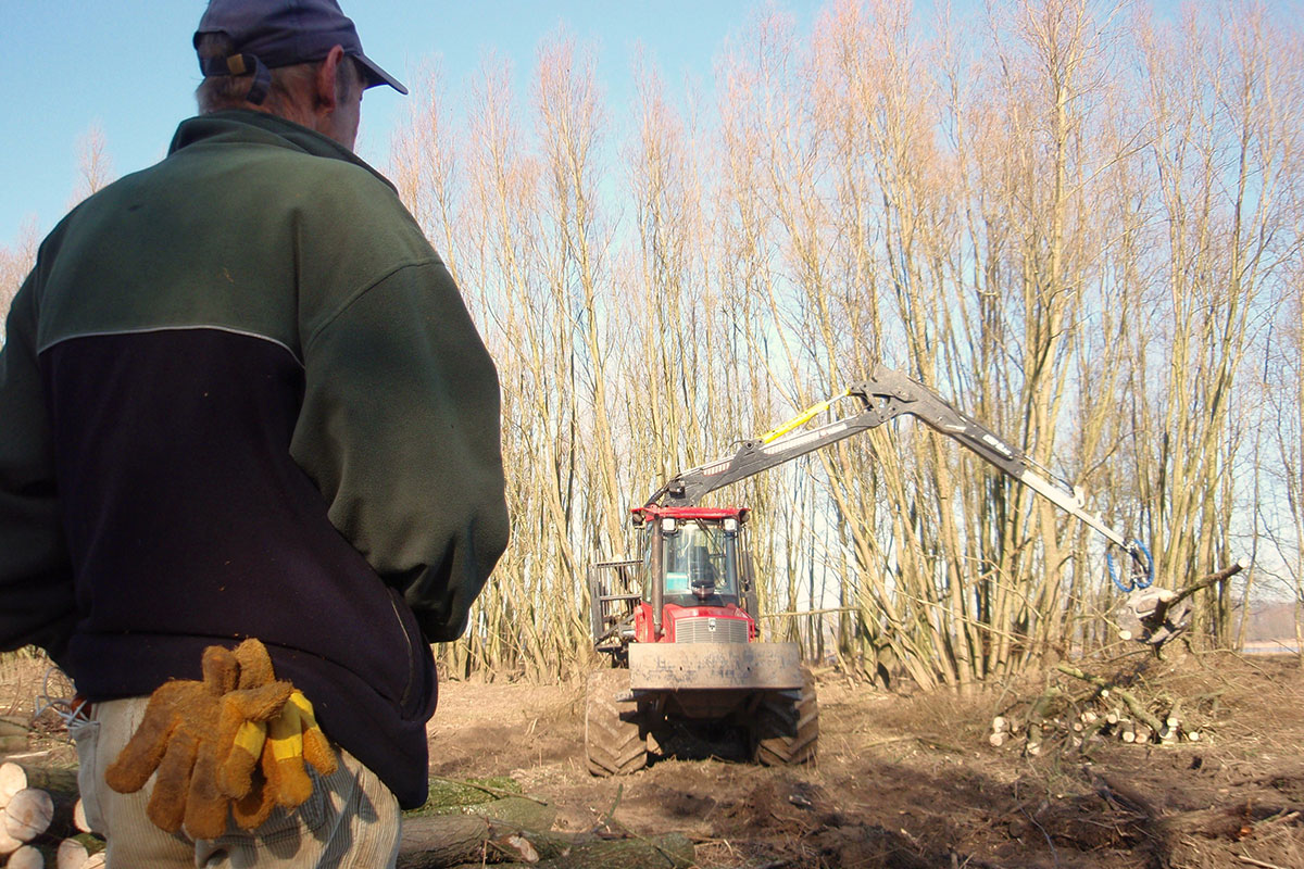 Excursie Dijken Bouwen Tussen Maas En Waal