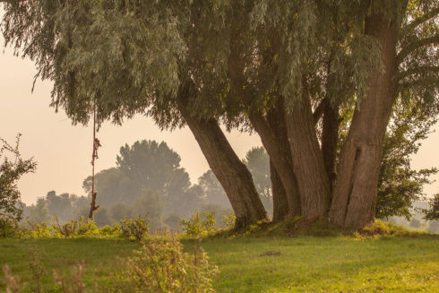 Buitenpolder Heerewaarden, Waar Maas En Waal Elkaar Bijna Raken