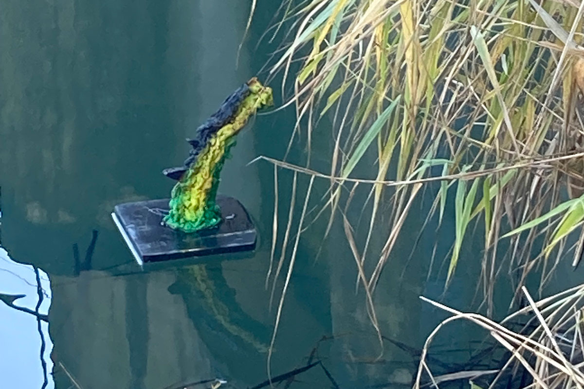Kustwerkje bij riet