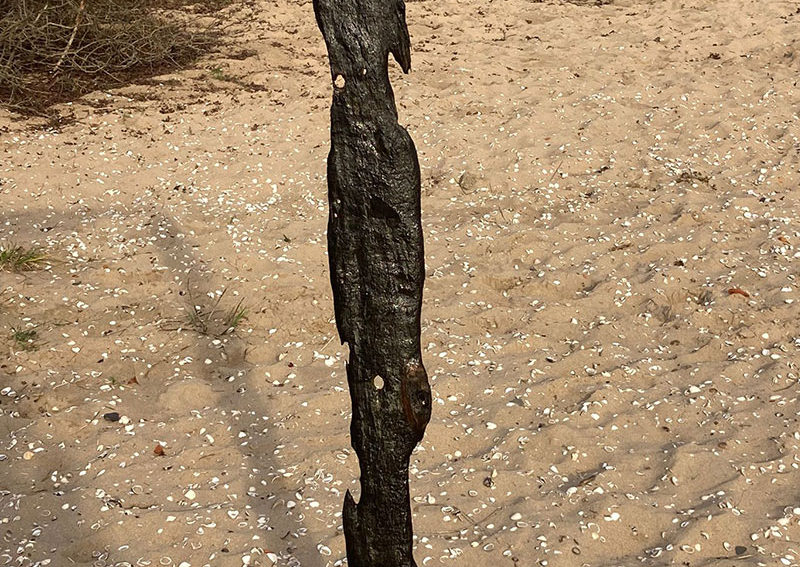 Zwart Hout