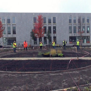 Zindering Aanleg2