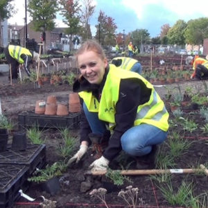 Zindering Aanleg3