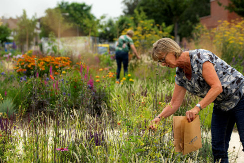 Vlindertuin De Zindering In Tiel