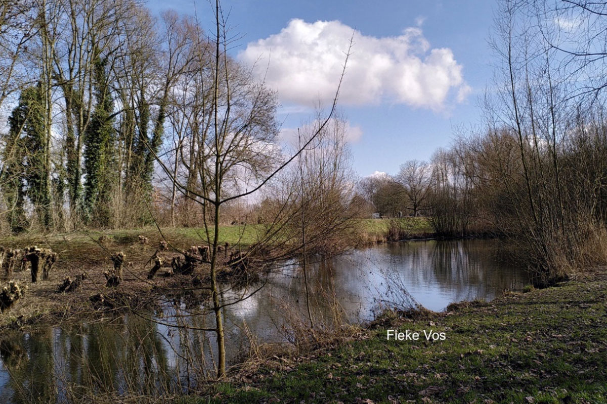 Bomenwandeling In De Heemtuin Van Geldermalsen