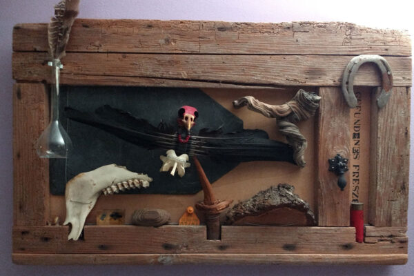 Struinvondst Eppo Heerding rariteitenkabinet deurtje konijnenhok