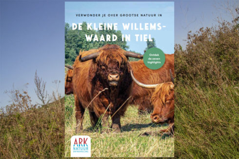 Verwonder Je Over Grootse Natuur In De Kleine Willemswaard