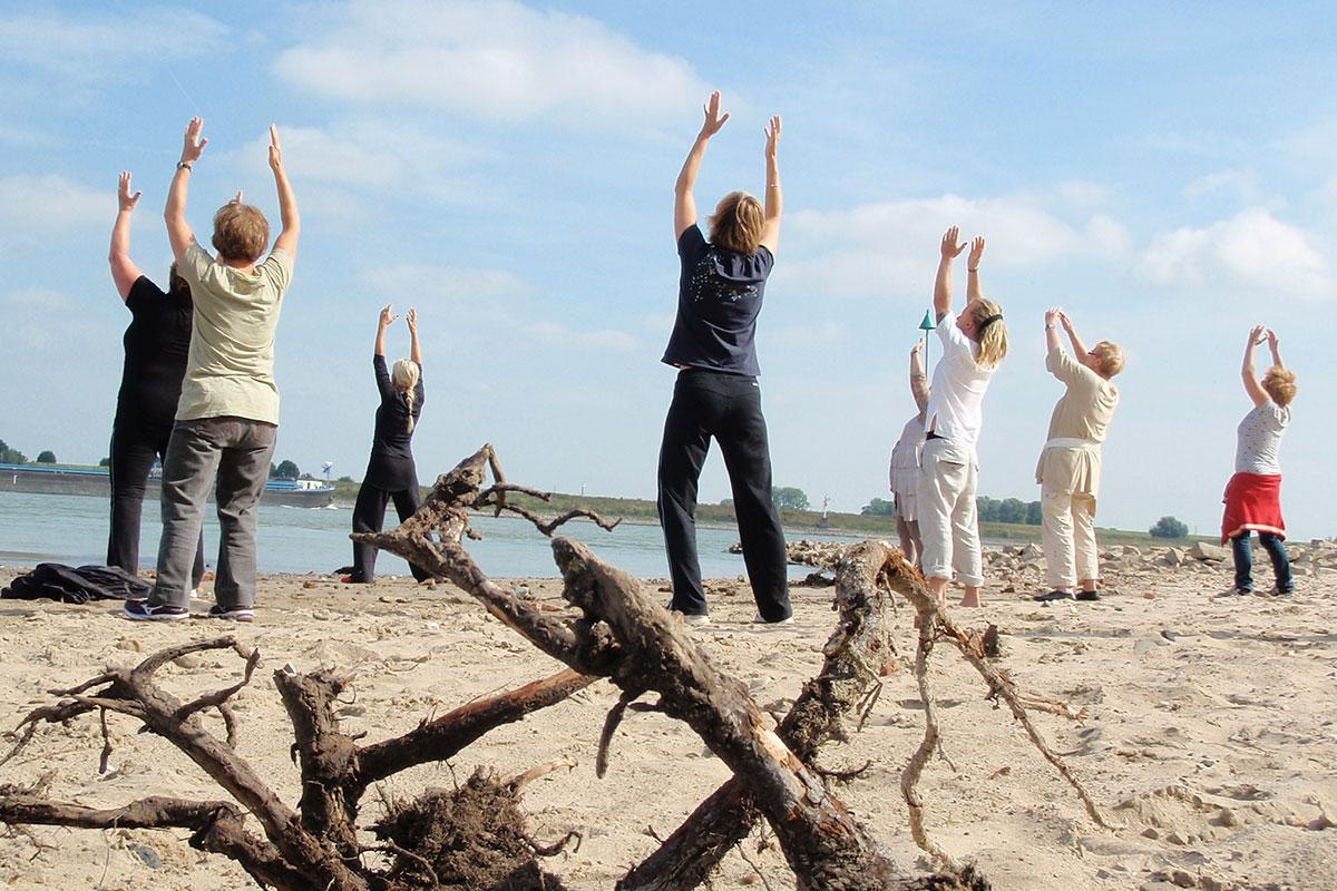 Tai Chi Aan De Waal