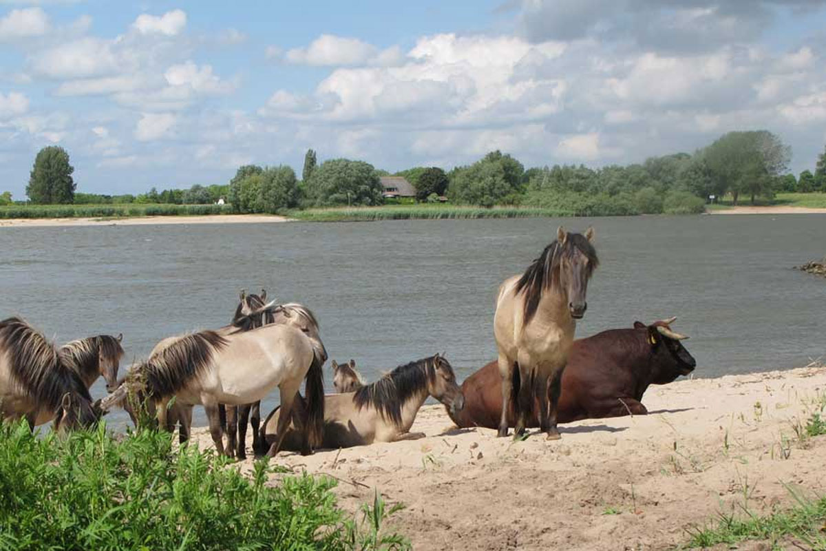 Struintocht In Het Munnikenland