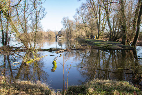 30 Jaar Natuurontwikkeling In De Millingerwaard