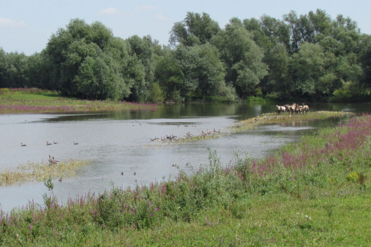 Stiltewandeling Drutense Waarden