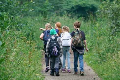Ontdekkingstocht Voor Kinderen In Het Bronnenbos Beek-Ubbergen