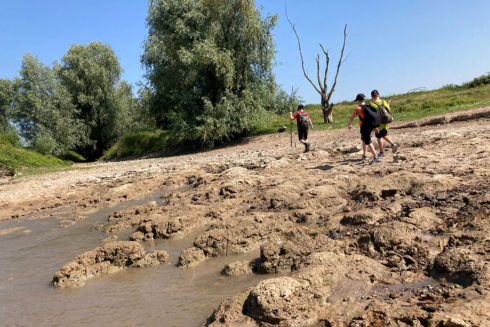 Ga Deze Zomer Op Avontuur In Wetland Passewaaij