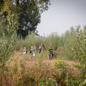IMG 7991
