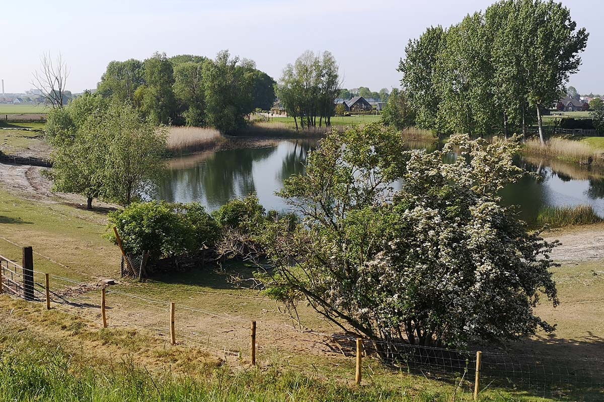 Excursie Historische Resten
