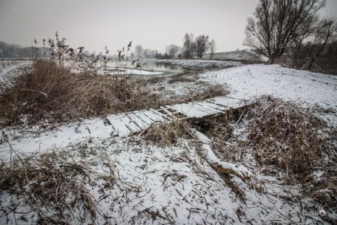 Winter In De Heesseltsche Uiterwaarden