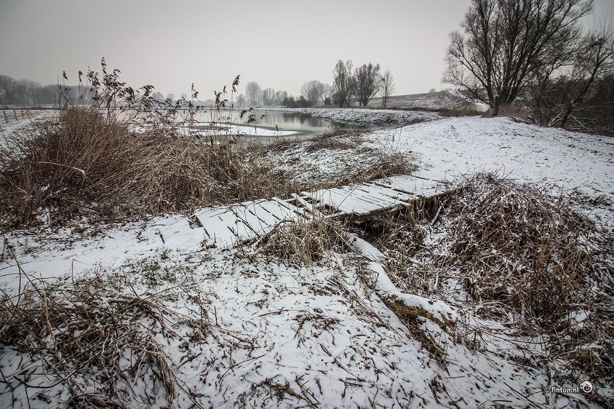 Winter In De Heesseltsche Uiterwaarden