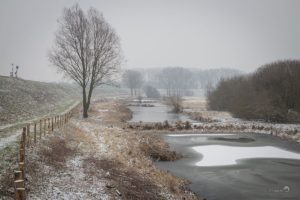 Heesseltsche Uiterwaarden