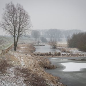 Heesseltsche Uiterwaarden