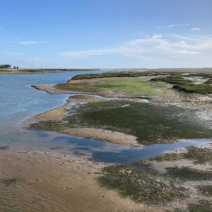 Ria Formosa Bij Faro