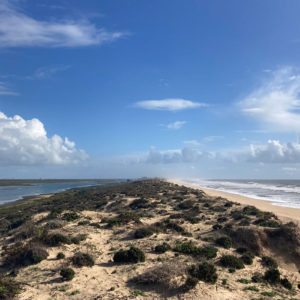 Ria Formosa Bij Faro