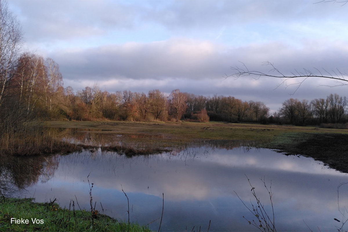 Wandeling In Unieke Tichelgaten Van Buren