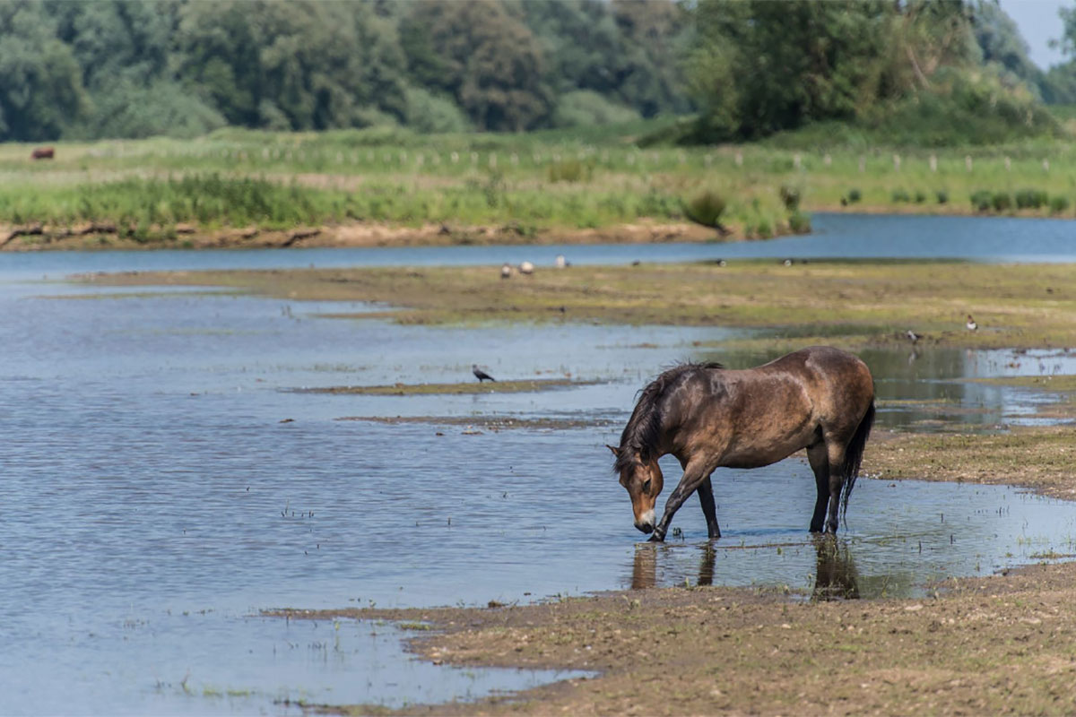 Winterse Struintocht Rondje Keent