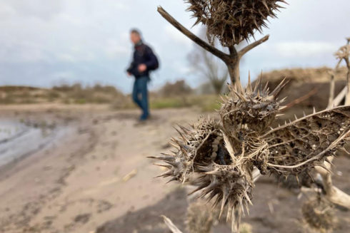 Met Kinderblik Door De Heesseltsche Uiterwaarden