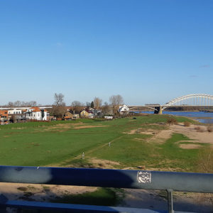 S11