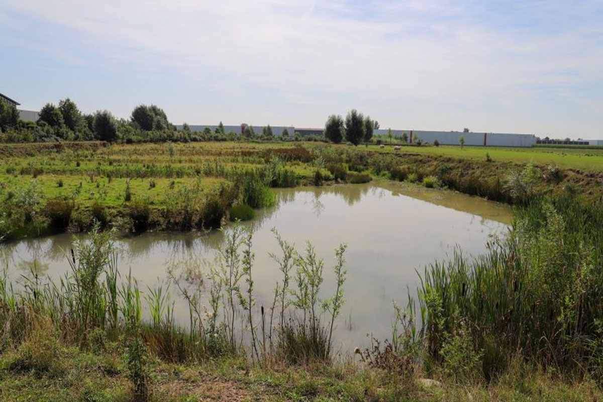 Natuurwandeling Op De Langste Dag, Voor Het Hele Gezin!
