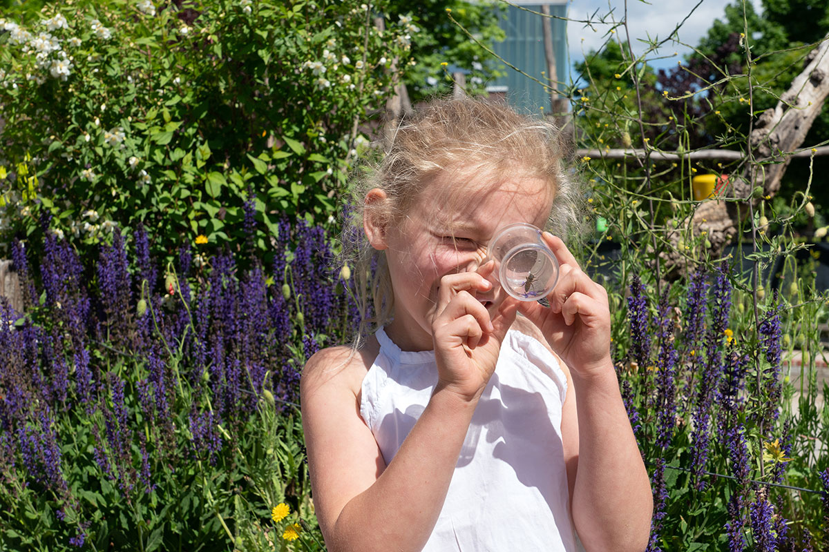 Workshop Levende Tuin Maak Je Zelf