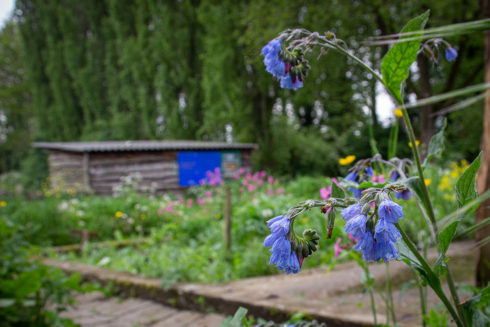 In De Heemtuin Van Geldermalsen
