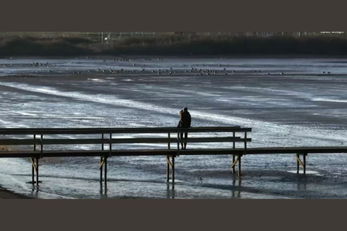 Excursie Sophiapolder, Waddenzee In Zuid-Holland