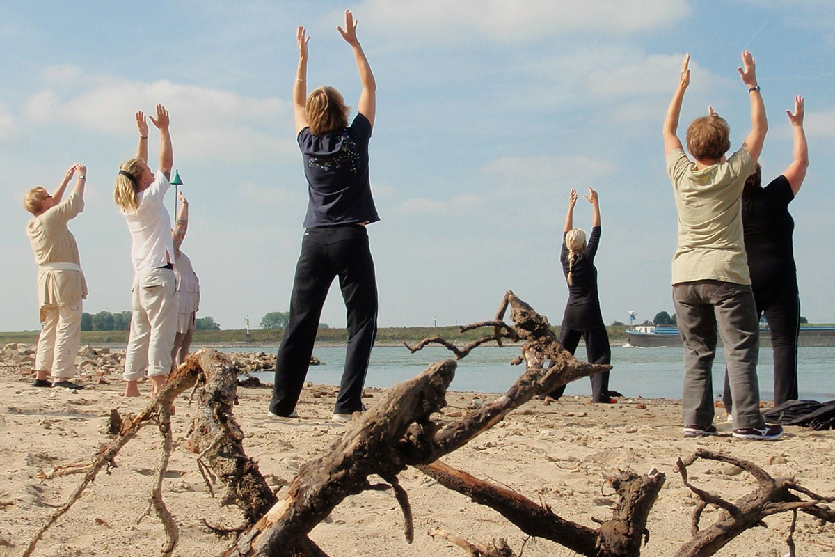 Tai Chi Aan De Waal