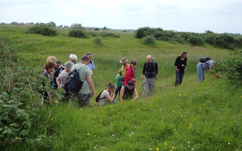 NVWC-excursie In De Steenwaard