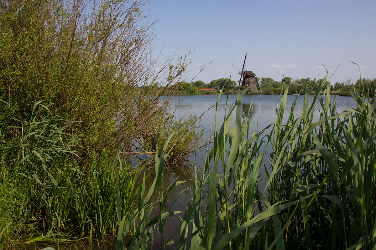 Wandelen En (nacht)vlinderen In De Steendert