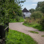 Wonen in het groen
